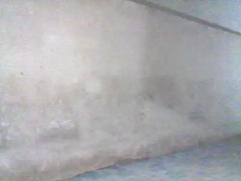 Czat XXX na żywo – Wanderkid33