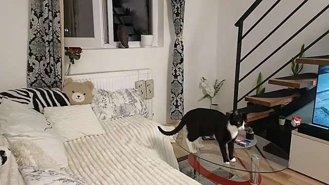 Chat XXX ao vivo de RyanStorm_