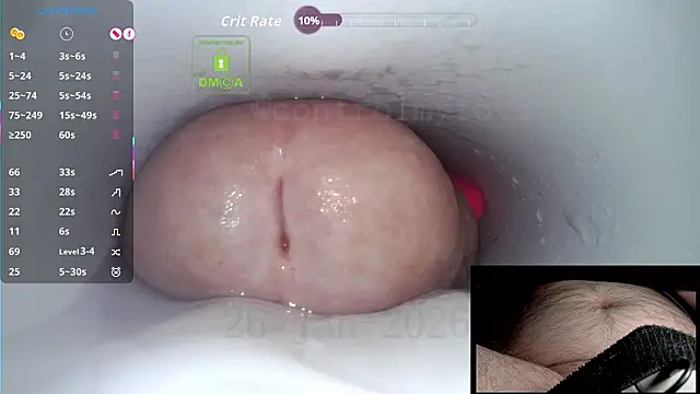 controlmytoysのウェブカメラショー