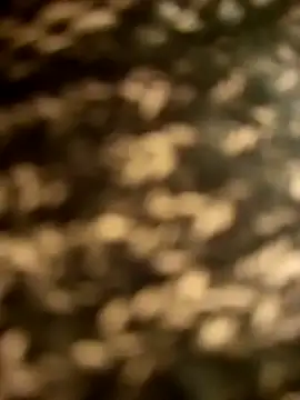 3littleschoolteens' Live XXX Chat