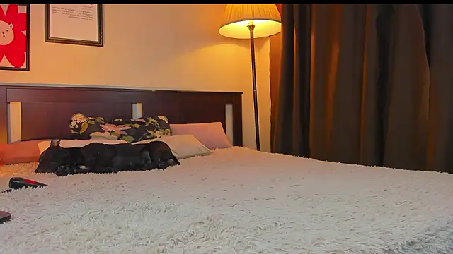 Chat +18 de Lav_Tender ao vivo