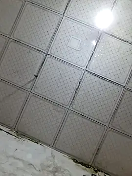 preya6 라이브 XXX 채팅