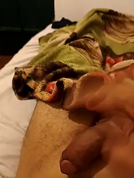 01kirito 现场XXX聊天