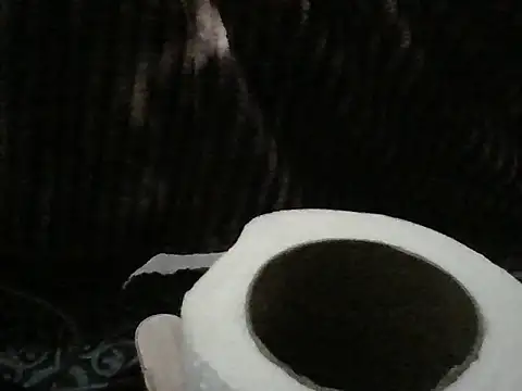 Show de webcam de ROSARIOBELLA13