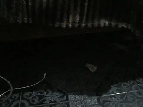 ROSARIOBELLA13 লাইভ XXX চ্যাট