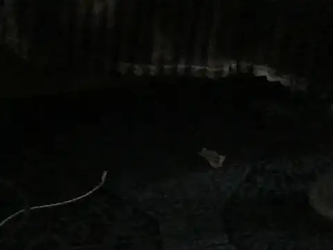 ROSARIOBELLA13: απευθείας συνομιλία ΧΧΧ