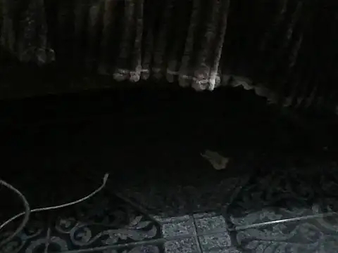 ROSARIOBELLA13: απευθείας συνομιλία ΧΧΧ