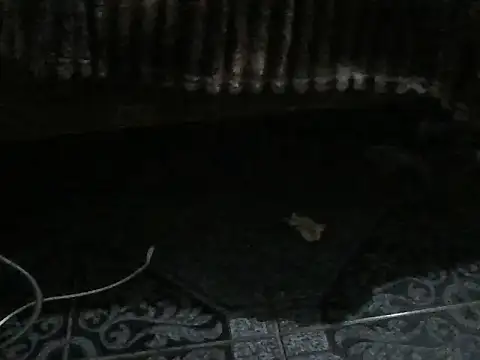 ROSARIOBELLA13のライブXXXチャット