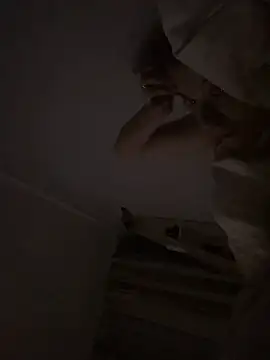 bunnythetailor – Naživo XXX chat