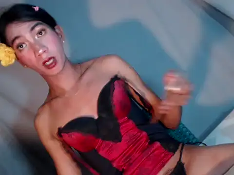 Pokazy przed kamerką – xyourdreamtrans