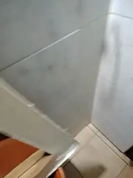 Mickey_9 网络视讯表演