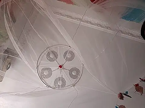 erbod_Johnny Webcam-Show