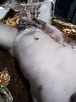 Pokazy przed kamerką – xfred69