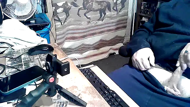 Oldmanphlwiss Show in webcam