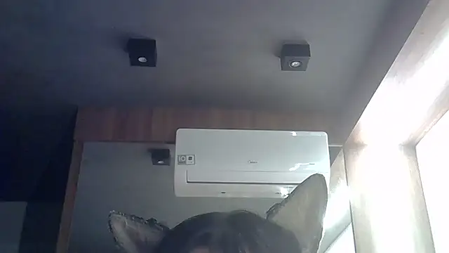 SkinnyKitten's Webcam Show