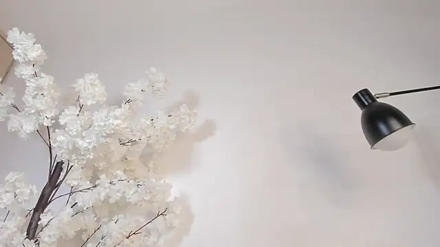 sweetsalice__ 现场XXX聊天