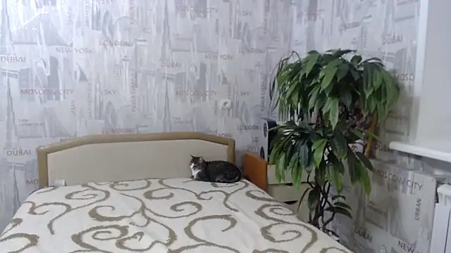 GinaQSoul 即時 XXX 聊天