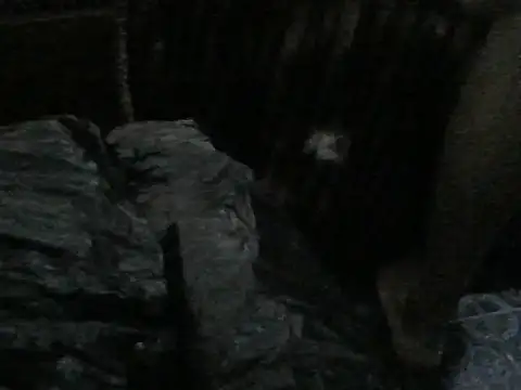 ROSARIOBELLA13 webkamerás műsora