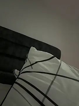 ArisSC 现场XXX聊天