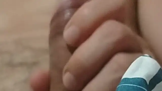 ponocta2 Webcam show