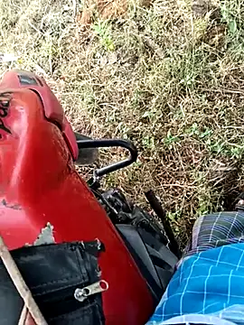 Chatroom XXX en direct de dolphiinn