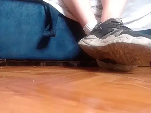 Show webcam de alphaswitchard