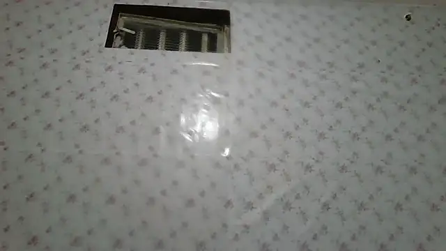 Roselingalvis13のライブXXXチャット