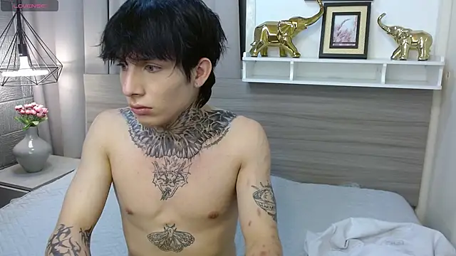 Show de webcam de Iantwink18