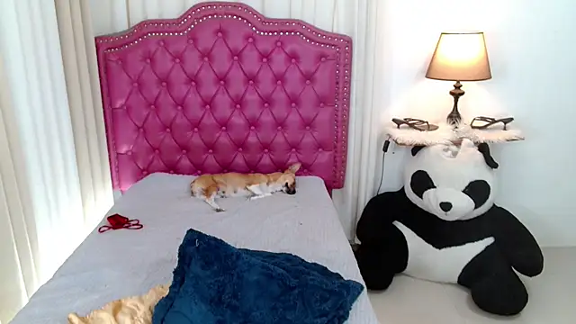 DreamLADYBOY 라이브 XXX 채팅