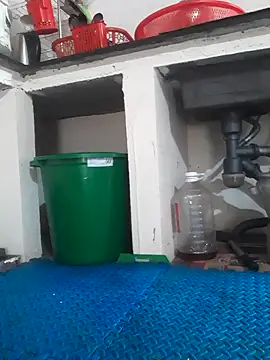 Živý XXX chat -Bunny-y