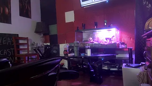 Show webcam de TheHellBilly