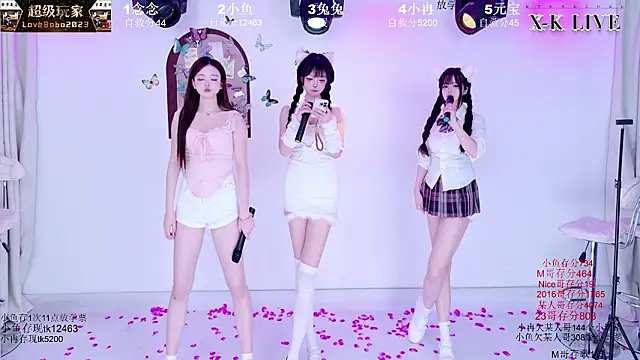 Вебкам-шоу XK-2005