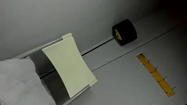 anitacruise 网络视讯表演