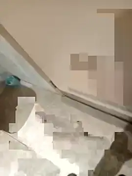 ParlousCarpet Live XXX-Chat