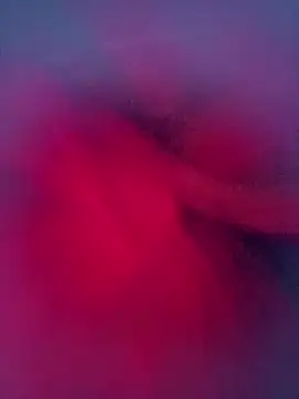 indianshycouple's Live XXX Chat