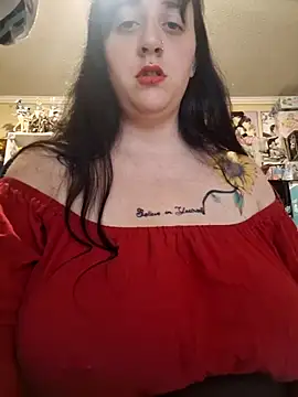 Sora_eroneko: διαδικτυακό σόου στην κάμερα