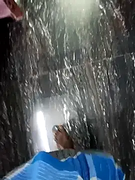 dolphiinn webcam show