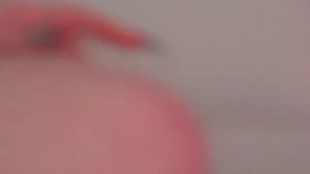 AgataFoxley Webcam-Show