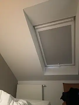 Chatroom XXX en direct de Toyjungee