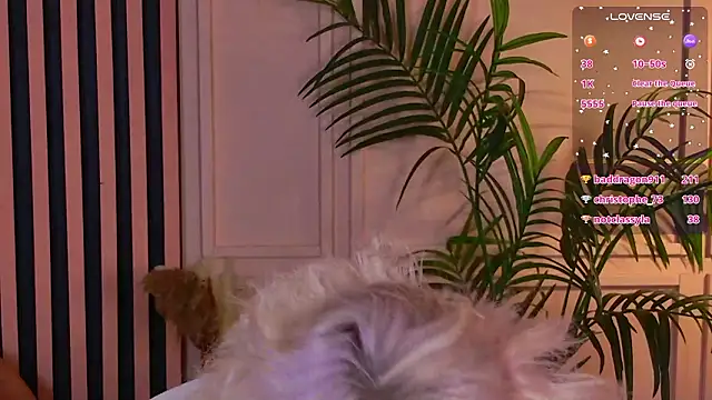 Chat XXX en directo de Waifu_Ketrin