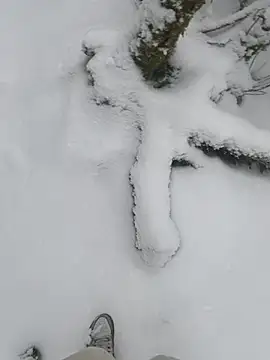 Webkamerová show YoungSkinnyBoy20