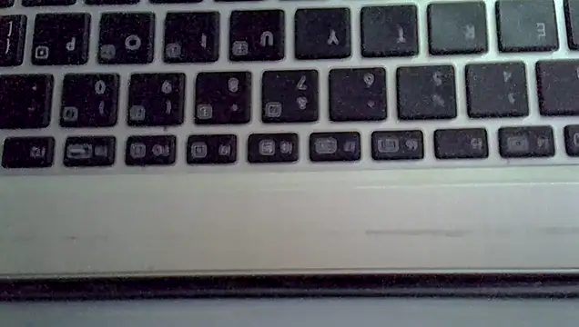 Delicious-D – webcam-show