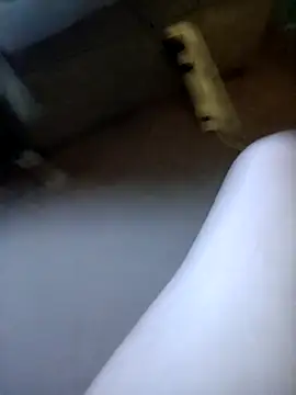 โชว์เว็บแคมของ Bigloggz