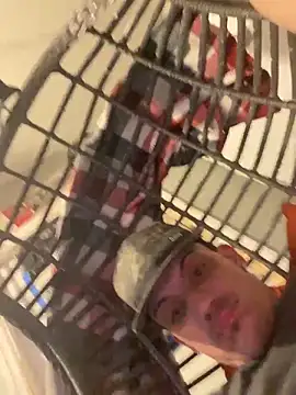 Polaroid_White 라이브 XXX 채팅