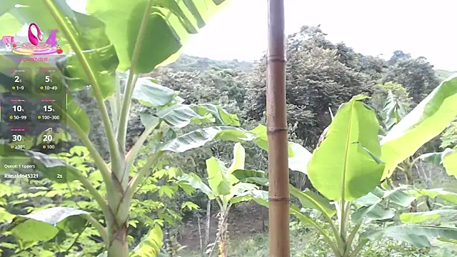 esmeralda_li Live XXX-Chat