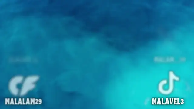 Nalan__ Live XXX-Chat