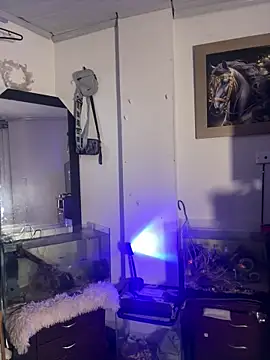 CRAZY-BOY99 Live XXX-Chat