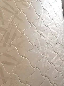 Hiroshi_Shen Pertunjukan Webcam