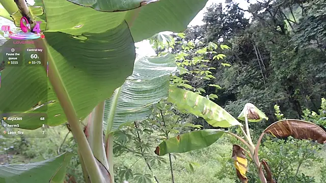 esmeralda_li Live XXX-chat