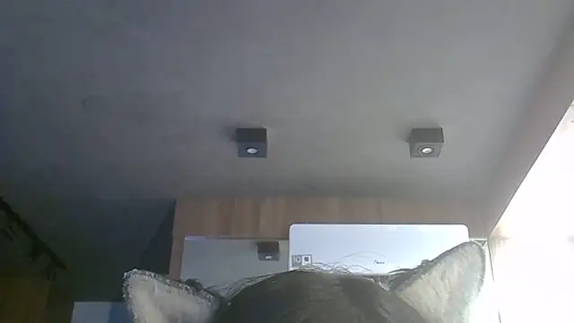 SkinnyKitten Webcam show